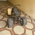 دباب