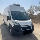 بيجو بوكسر 2021