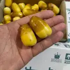 رطب اخلاص فاخر