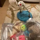العاب قطط