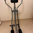 للبيع غزال طائر