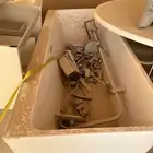 حوض استحمام مع خلاط ودش