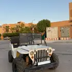 ميني جيب