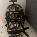 للبيع حالتهم ممتازة