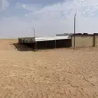 مزرعة للايجار القصيم - المهباش