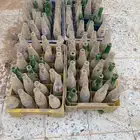 صندوق بيبسي