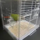 كنيور اناناس للبيع