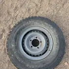 جنوط شنبر