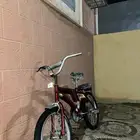 سيكل عنابي