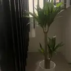 شجرة صناعية