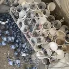 حمام للبيع