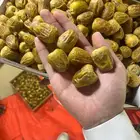 تمر سكري القصيم مفتل درجه اولى