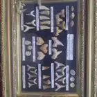 اسنان قرش