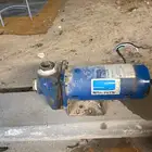 دينمو سمنان 2 حصان