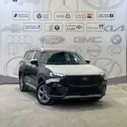 فورد ترتوري 2025