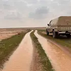 طربال شاص