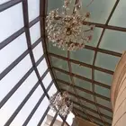 تظليل برؤنانوسراميك امريكي
