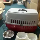 اخحامل للقطط