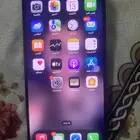 ضباء