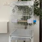 قفص ببغاء
