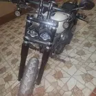 فات بوب 2014