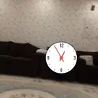 كنب المطلق للبييع بالاحساء