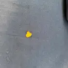 كنب زاوية للبيع