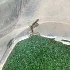 صدام افالون اصلي خلفي