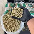 فول مصري درجه اولى