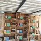 الرياض