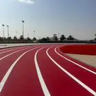 ملاعب رياضيه