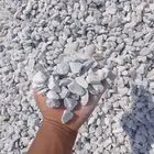 دفان سبيز بيسوركس خرسان  بحص  ابيض