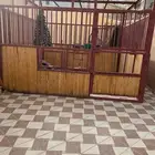 غرفة خيل - بايكه - بادوك - غرفة حصان متنقلة