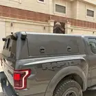 شد فيبر عروق الشمال فورد رابتر
