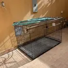 قفص كبير
