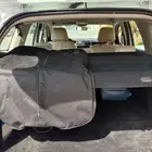 Renault Duster 2020