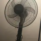 مروحة واحذية للبيع