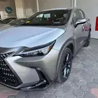 لكزس NX AA موديل 2025