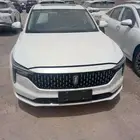 فاو بيستون B70 كومفورت 2025 اصفار