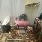 ماطور للبيع
