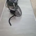 صانعة البيتزا ومروحه جداريه