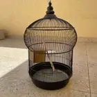 قفص ببغاء كبير جدا