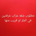 مطلوب شقه عزاب غرفتين في الملز او قريب منها