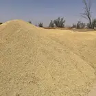 شعير للبيع با حائل مزارع الرشاويه