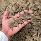 عود كلمنتان الأزرق جملة الجملة
