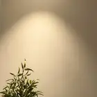 غنم الي محتاج كاش تابي و تمارا