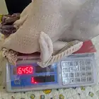 ديك رومي ذبح طازج