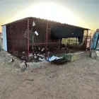 حفر الباطن الذيبيه