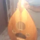 جيزان حي الشاطى
