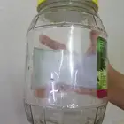 غراش ورق عنب فارغة